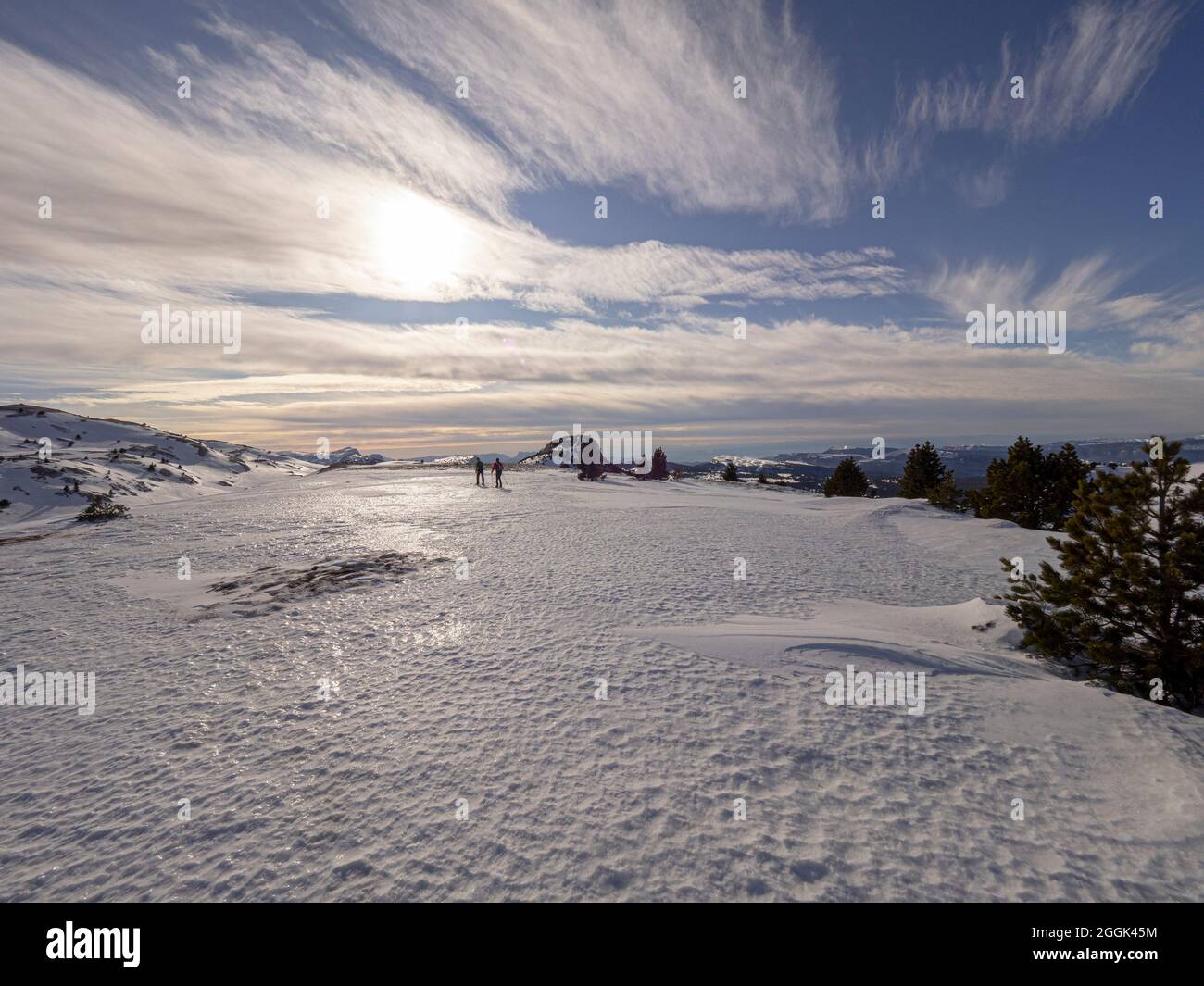 Ski tour with pulka material sled through the nature reserve Réserve naturelle des Hauts Plateaux du Vercors Stock Photo