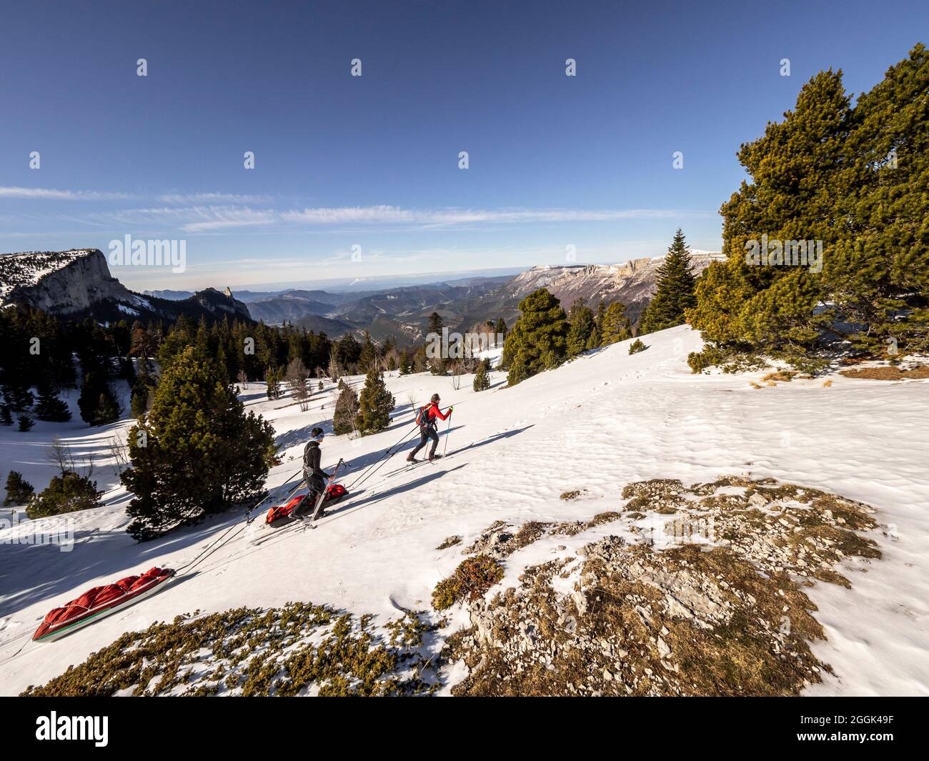 Ski tour with pulka material sled through the nature reserve Réserve naturelle des Hauts Plateaux du Vercors Stock Photo