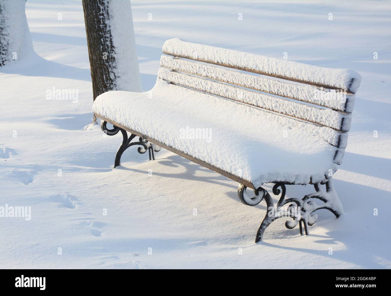 Park wooden bench after snowstorm. East Coast is frozen over in a 'bomb cyclone'. Stock Photo