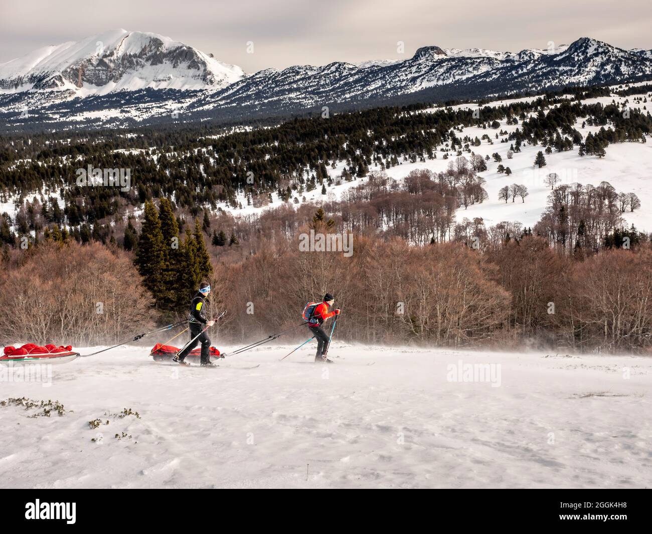 Two skiers on a ski tour with pulka material sledges through the nature reserve Réserve naturelle des Hauts Plateaux du Vercors. In the background the Grand Veymont Stock Photo