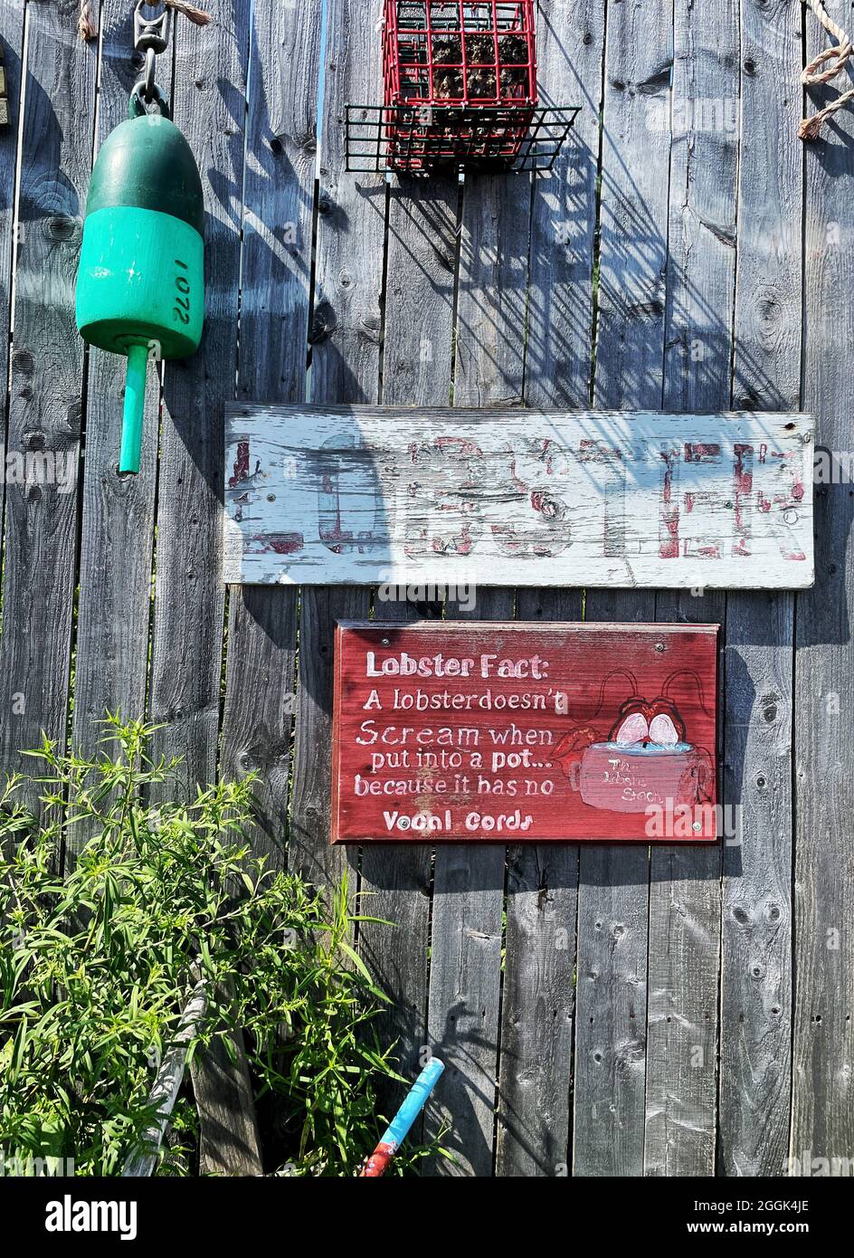 Old, weathered wooden fence with signs & buoys at Perry’s Lobster Shack is a Low-key waterside shack offering lobster & seafood plates. Stock Photo
