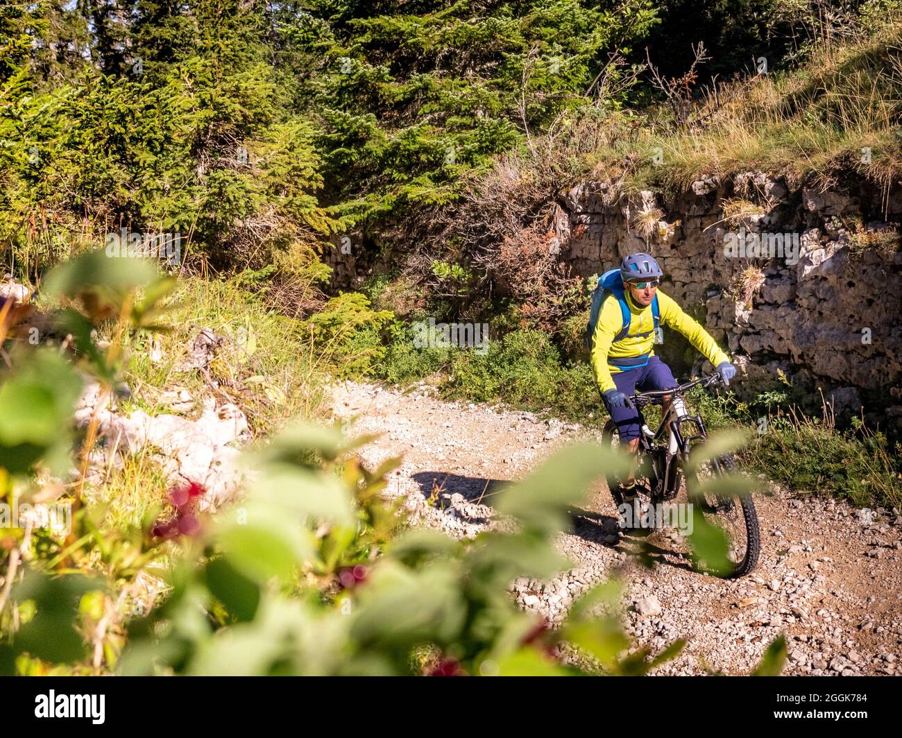 Mountain bikers on tour through the Hauts-Plateaux du Vercors nature reserve, Auvergne-Rhône-Alpes department. Stock Photo