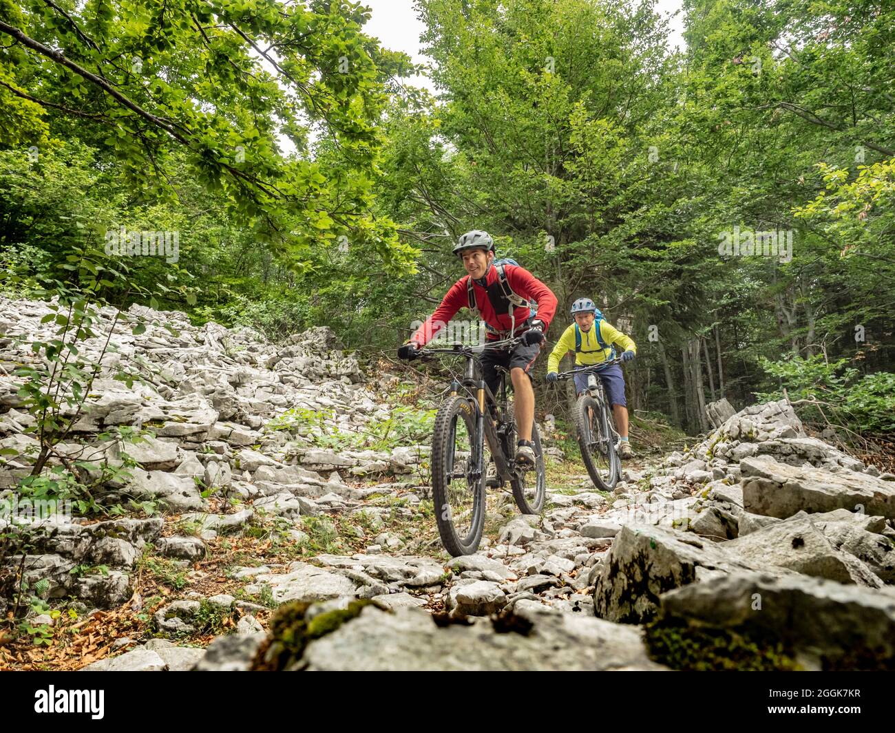 Mountain bikers on single trails in the Les Coulmes forest, Rencurel, Auvergne-Rhones-Alpes department Stock Photo
