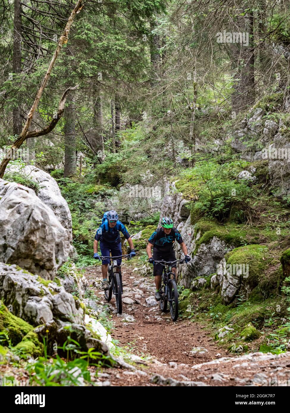 Mountain bikers on single trails in the northern part of the Vercors, near the Pas de la Clé department of Auvergne-Rhones-Alpes Stock Photo