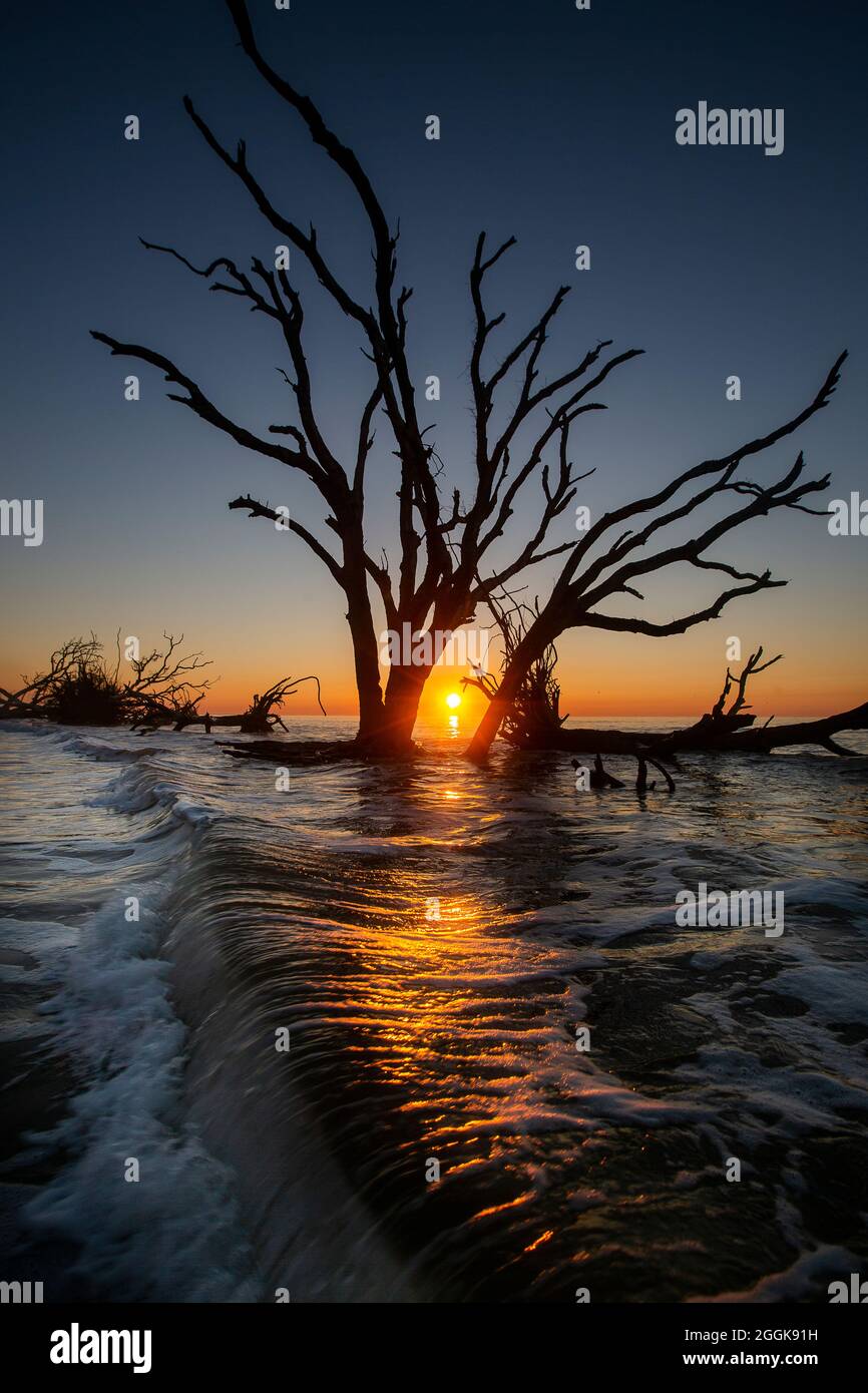 Botany Bay Plantation in Edisto Island, South Carolina Stock Photo Alamy