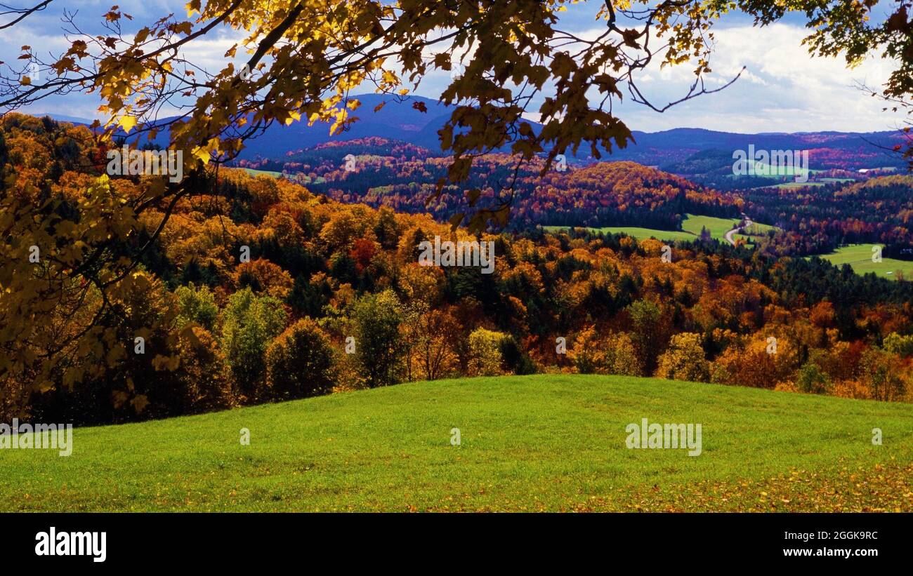 Vermont pasture with colorful fall foliage Stock Photo