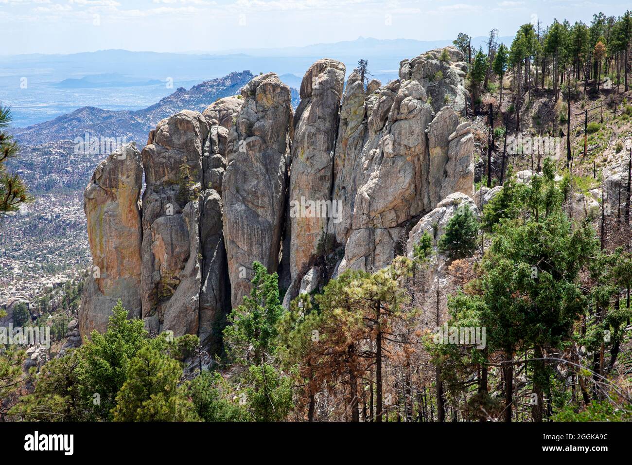 Catalina grainite outcrop, Mt. Lemmon, Santa Catalina Mountains, near Tucson, Southern Arizona Stock Photo