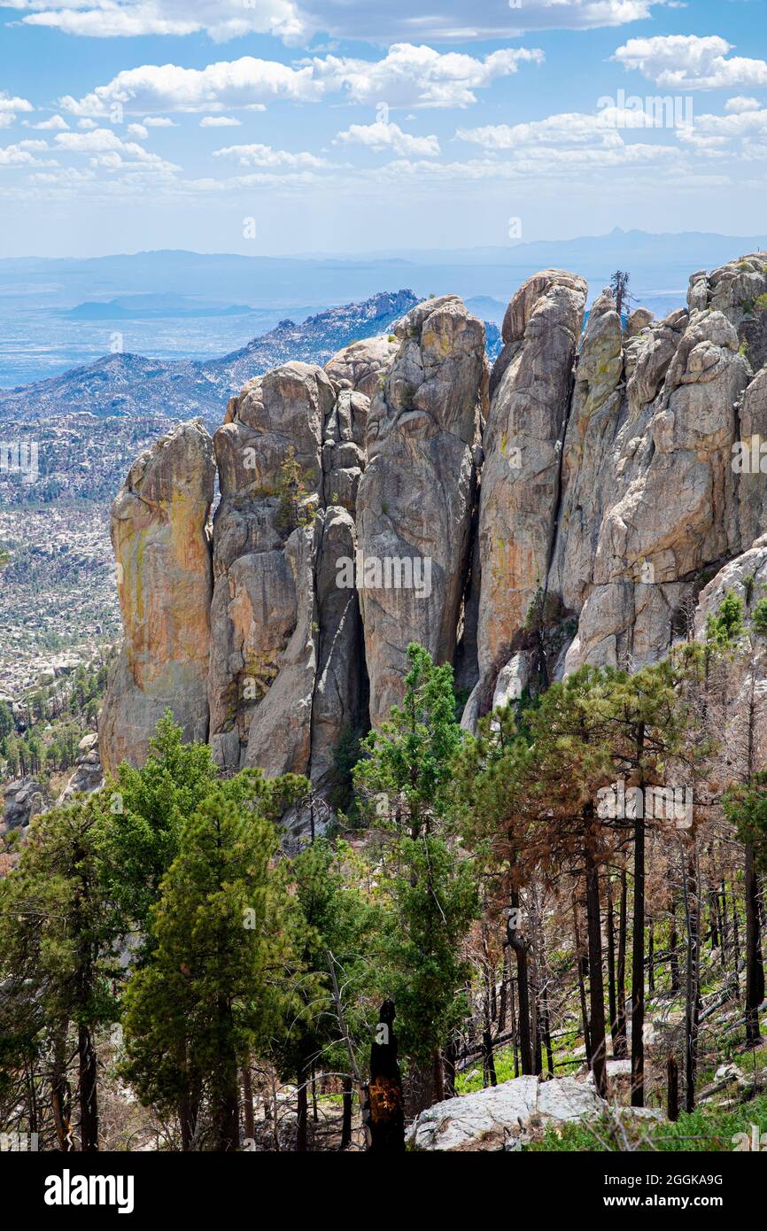 Catalina grainite outcrop, Mt. Lemmon, Santa Catalina Mountains,  near Tucson, Southern Arizona Stock Photo