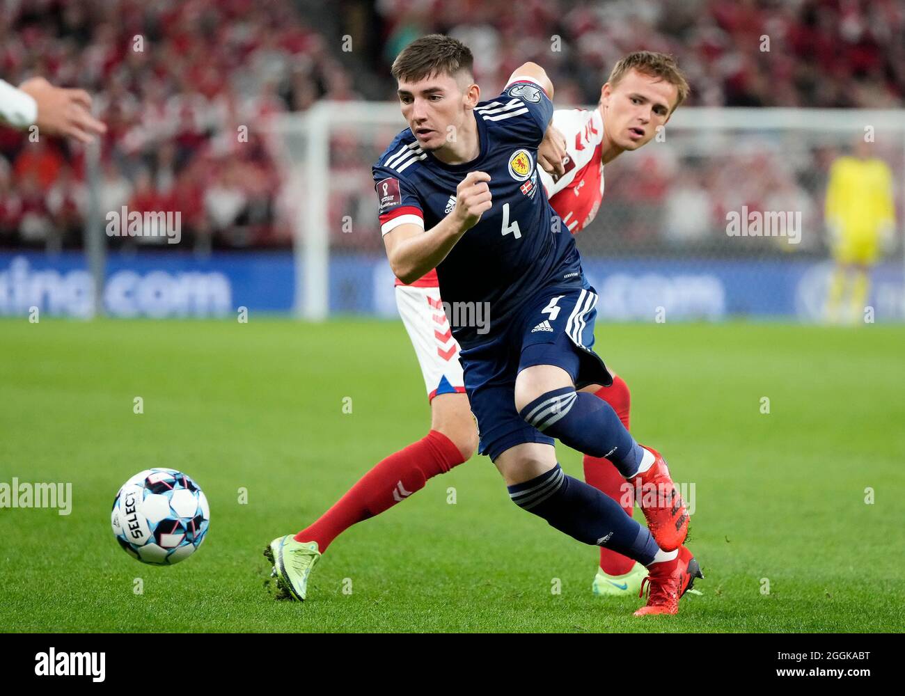 Scotland s Billy Gilmour In Action During The 2022 FIFA World Cup scotland-s-billy-gilmour-in-action-during-the-2022-fifa-world-cup