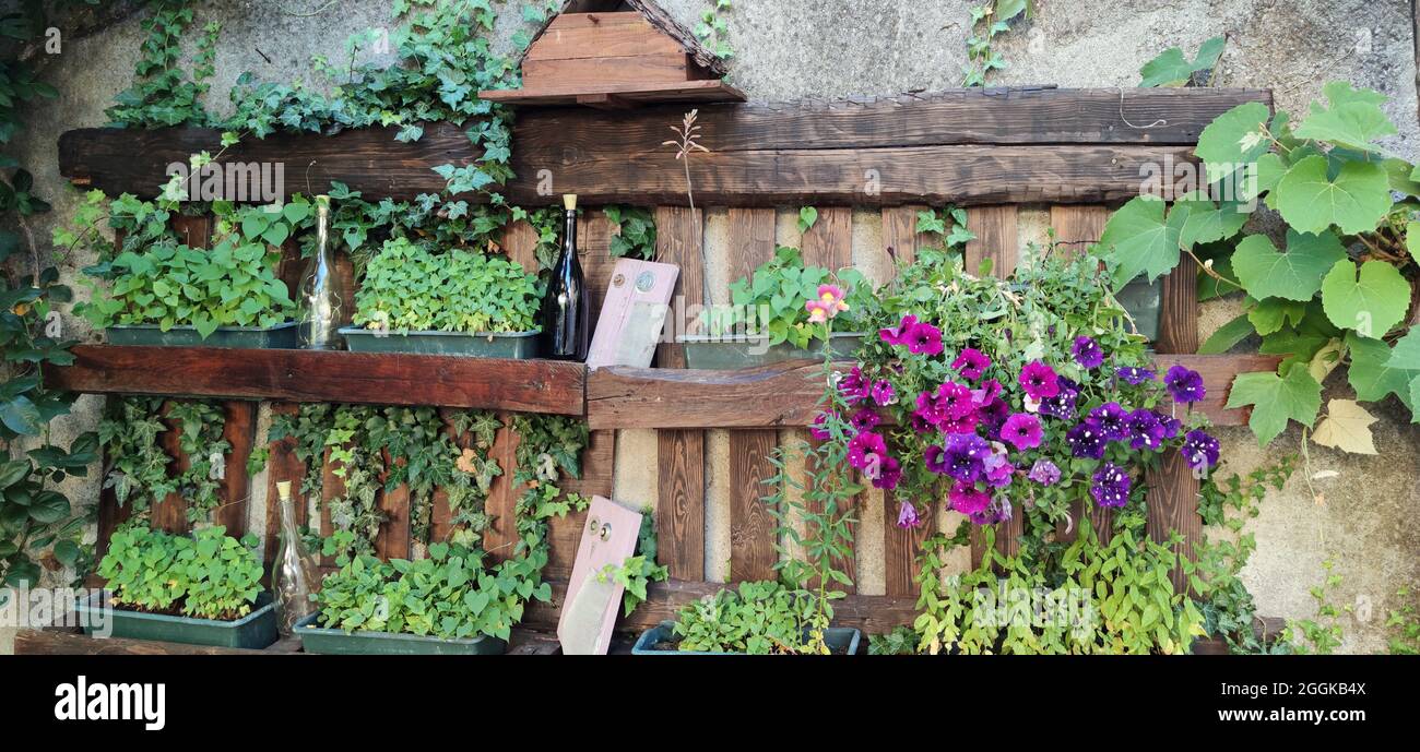 rustic wooden wall as a flower frame, Italy, Lombardy, Region Idrosee Stock Photo