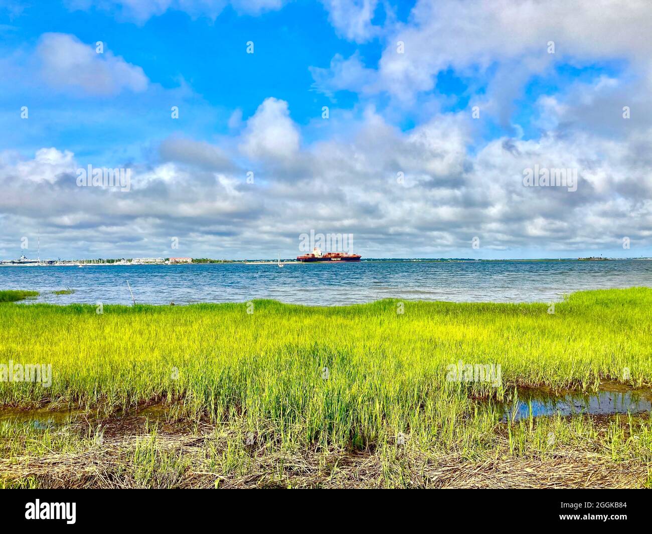 Sea grass, Charleston, South Carolina, with container ship in far middle Stock Photo