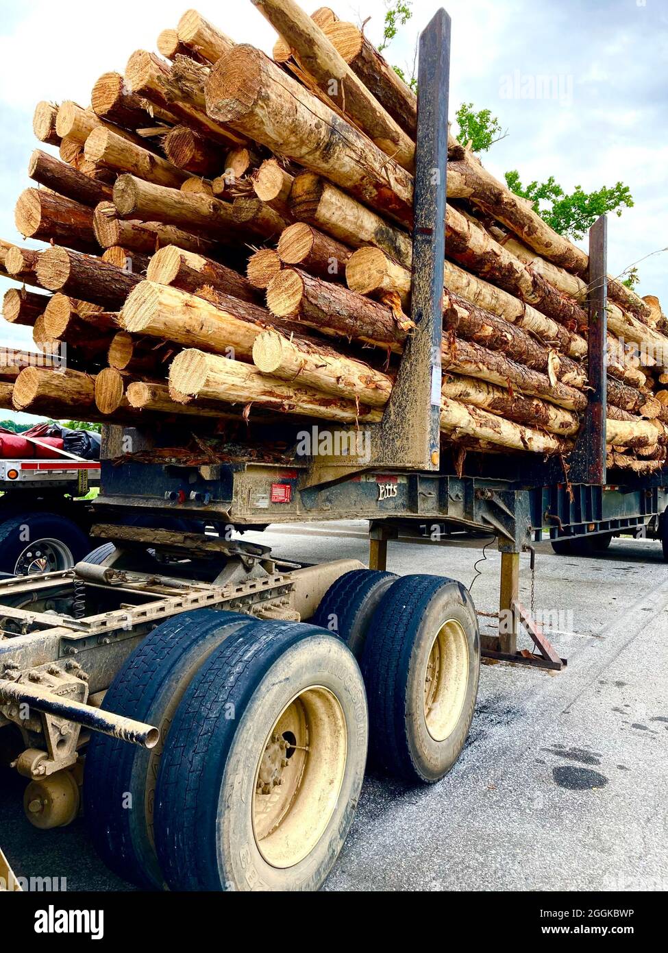 Truck filled with pine logs heads to mill Stock Photo