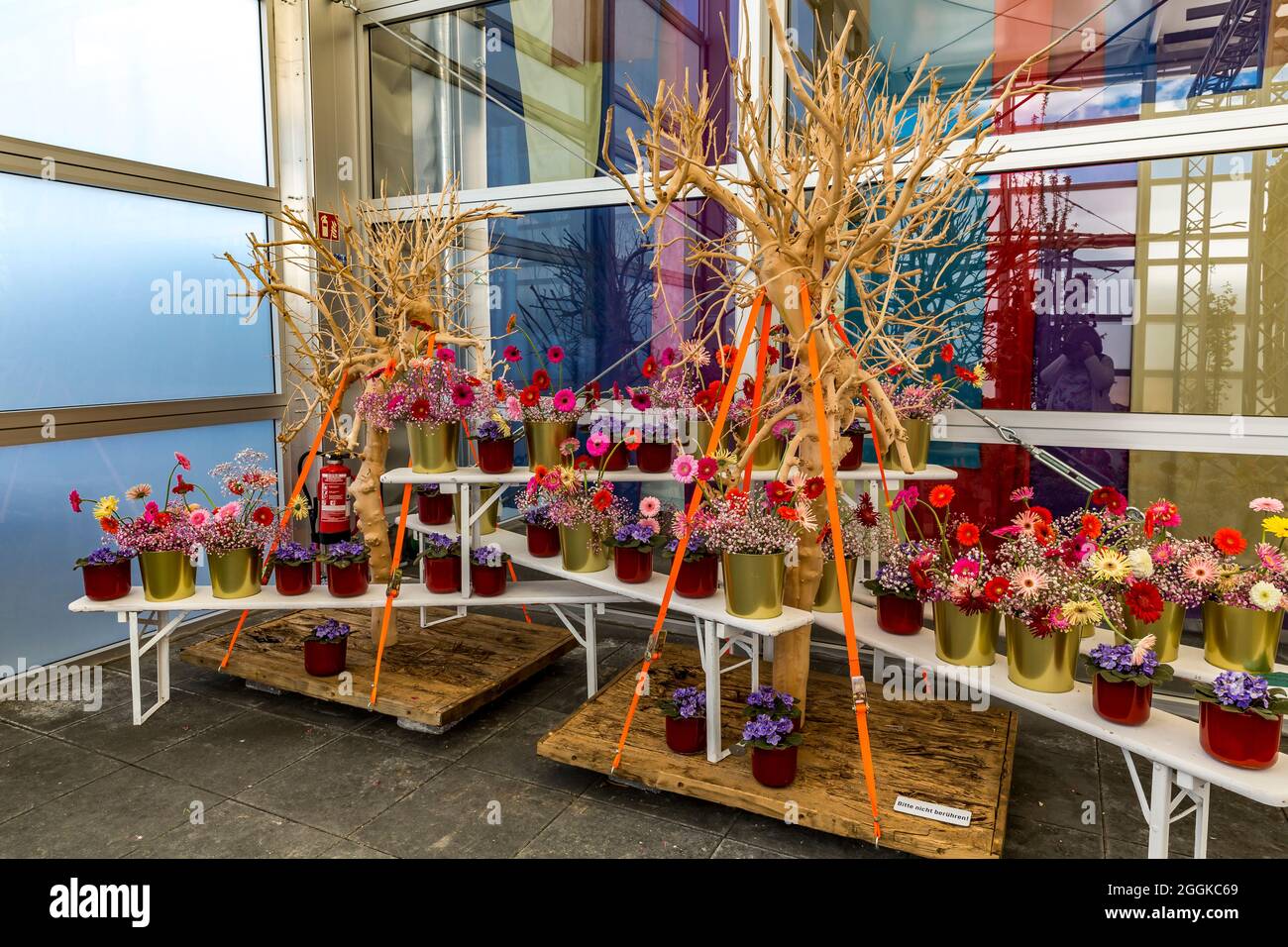 Flower arrangement in red, pink, pink and purple made of gerberas and violets, flower hall, Inspiration Nature, State Garden Show, Ingolstadt 2020, new term 2021, Ingolstadt, Bavaria, Germany, Europe Stock Photo