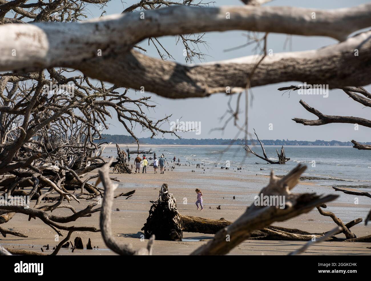 botany-bay-plantation-in-edisto-island-south-carolina-stock-photo-alamy