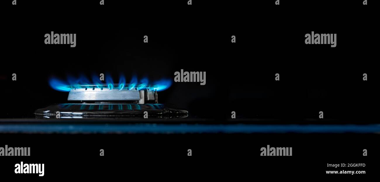 Gas flame on a gas stove Stock Photo Alamy