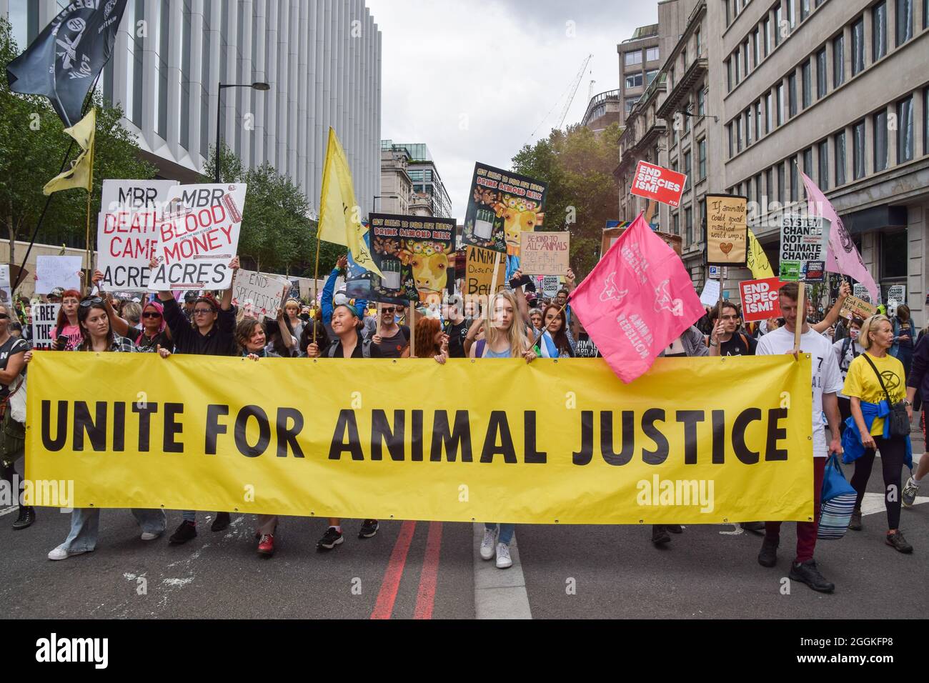 Animal and climate justice march hi-res stock photography and images ...