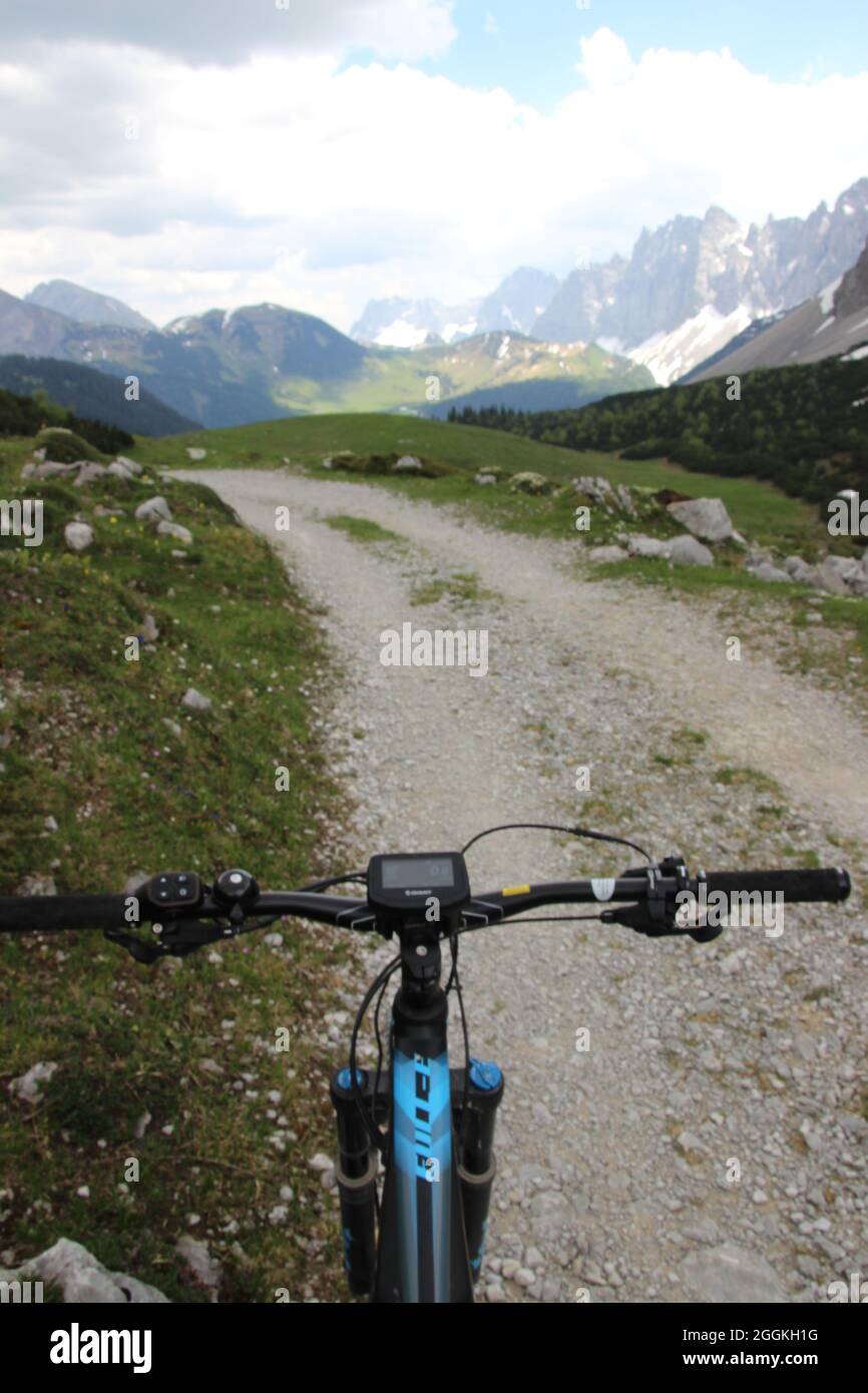 e-bike next to alpine flower meadow, handlebars with display, white silver arum (Dryas octopetala), downhill stretch from the Karwendelhaus to the small Ahornboden. Laliderer walls in front of the Falkenhütte Stock Photo