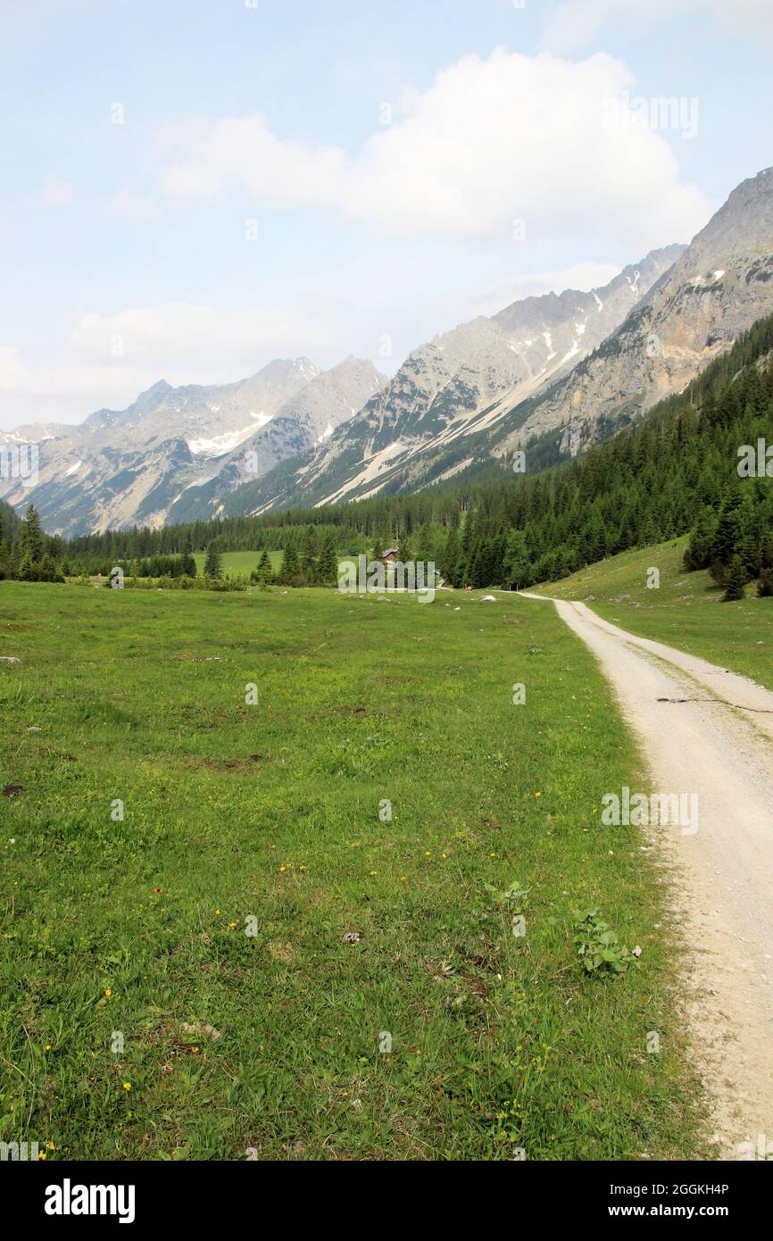 Bike and hiking trail with cyclists, cows in the Karwendeltal, Austria, Tyrol, Karwendel, mountains Stock Photo