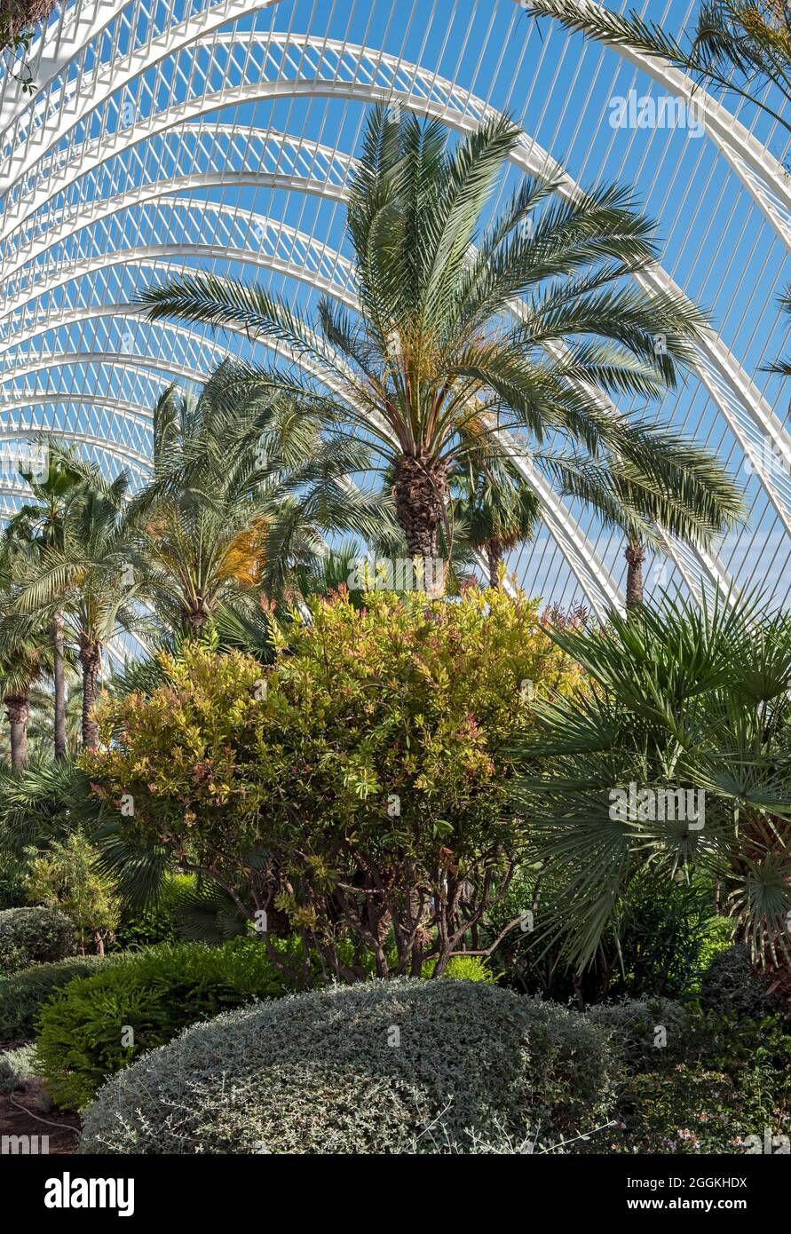 Santiago calatrava lumbracle hi-res stock photography and images - Alamy