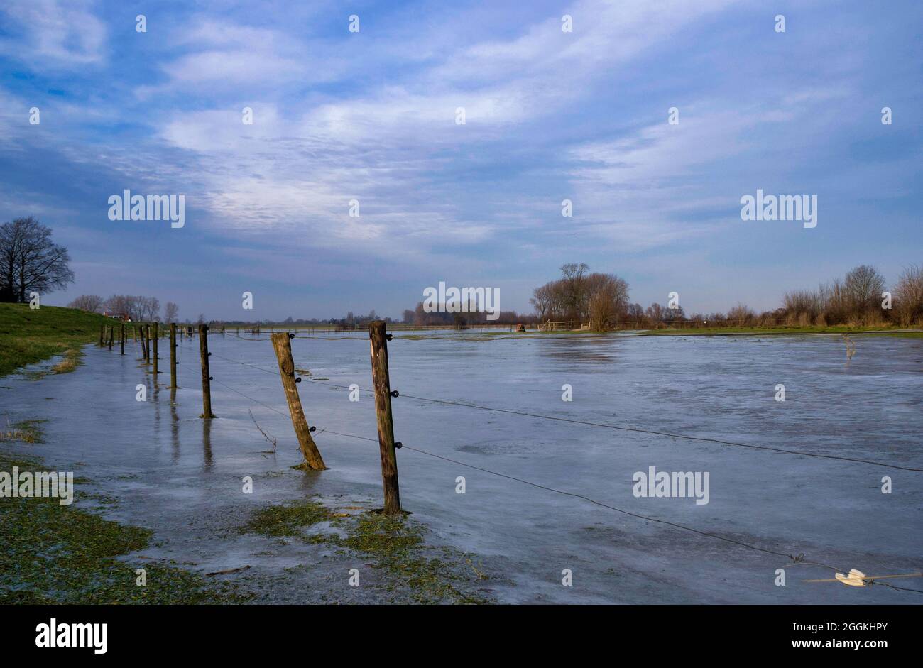 Frozen river foreland along the river IJssel Stock Photo - Alamy