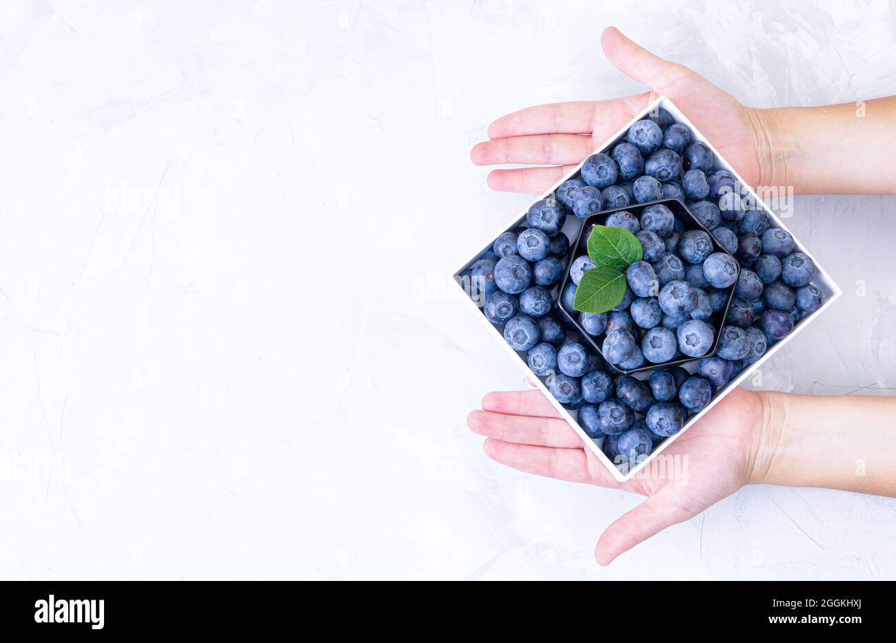 Crop view of female hands holding a box with fresh ripe blueberries. Top view, concrete table background, copy space. Stock Photo