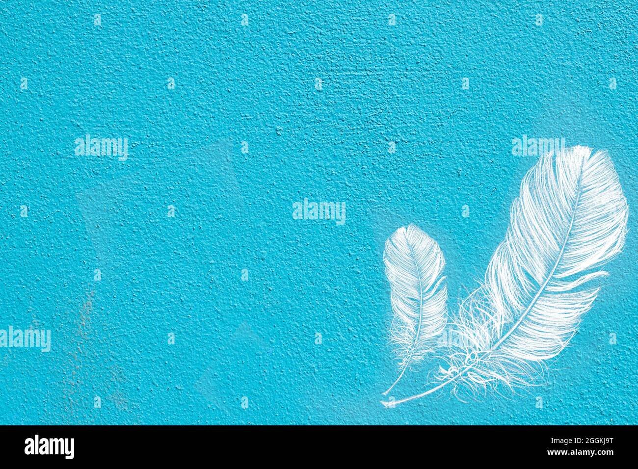 white feathers on the blue background Stock Photo - Alamy