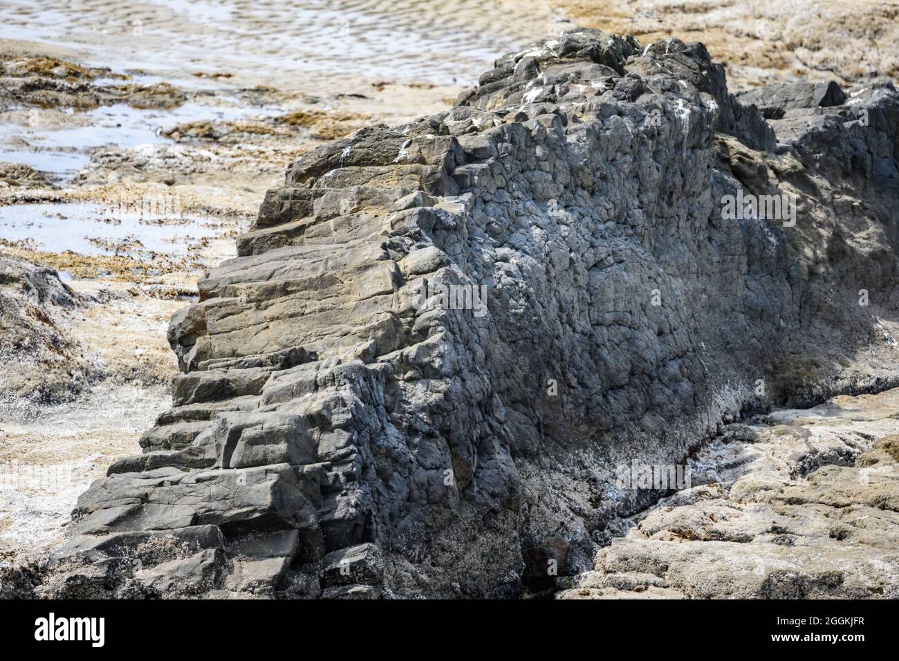 Outcrop of basalt lava flow with columnar joints. Tillamook, Oregon, USA. Stock Photo