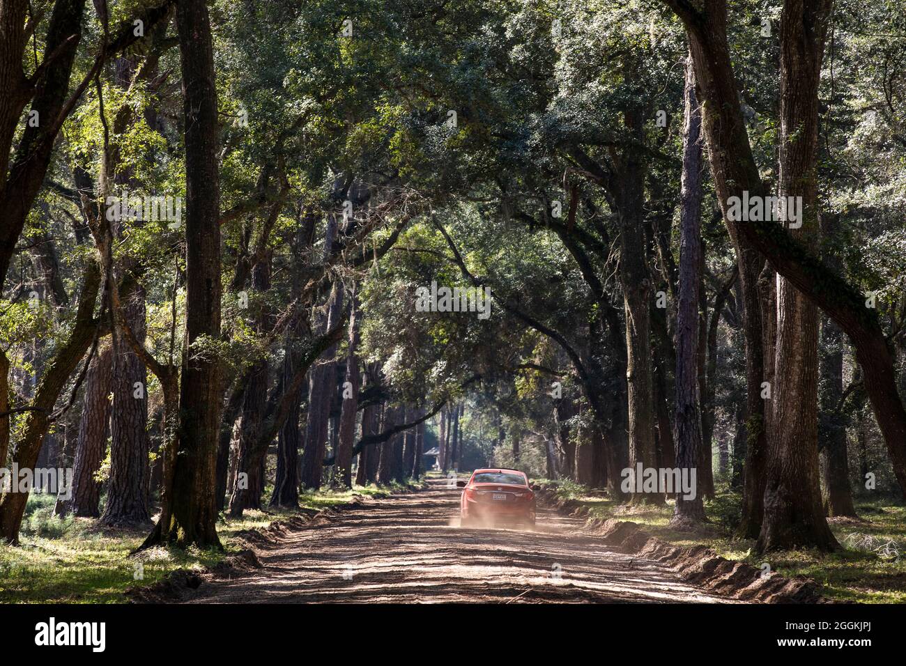 Botany Bay Plantation in Edisto Island, South Carolina Stock Photo Alamy