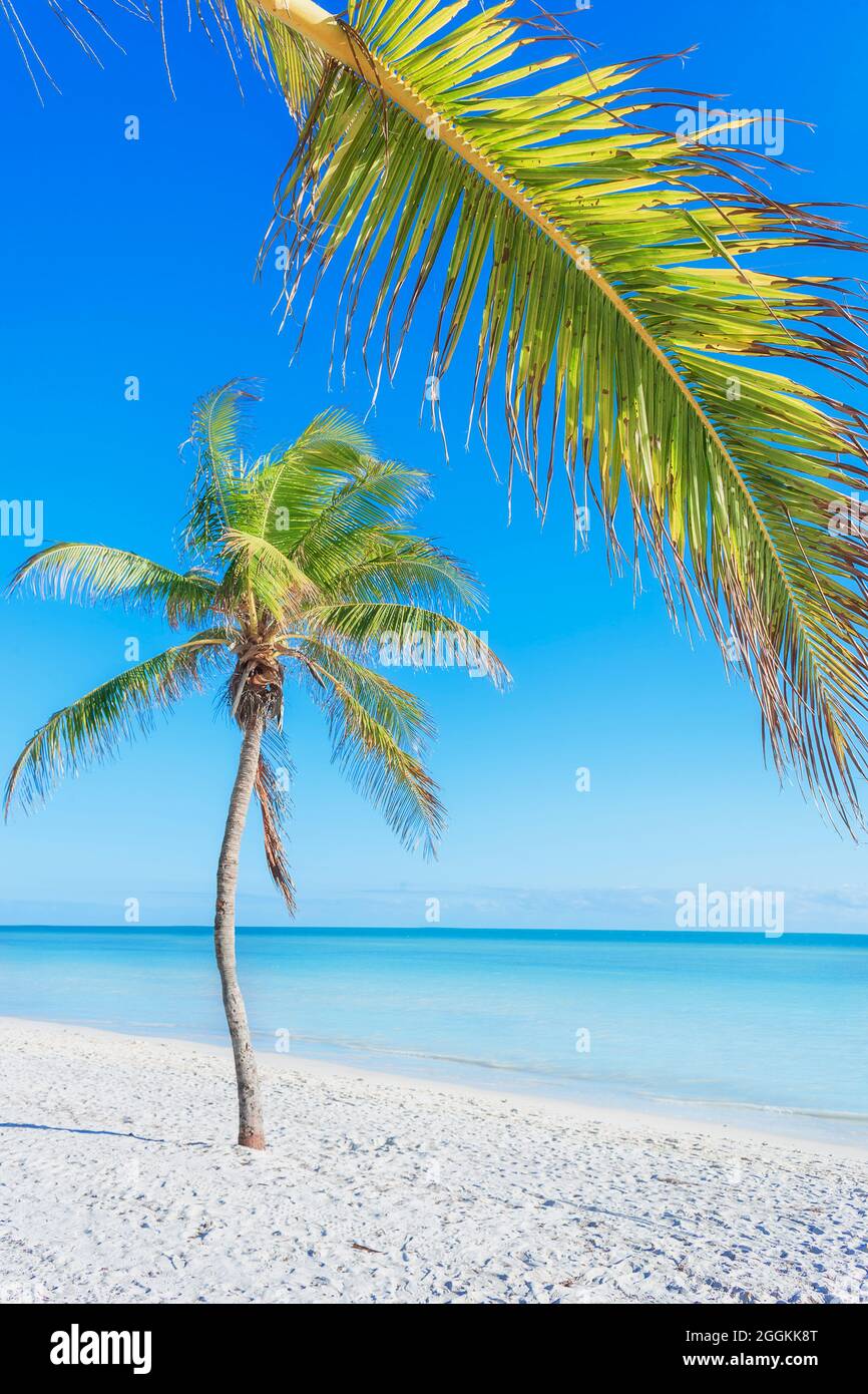 Smathers beach, Key West, Florida, USA Stock Photo