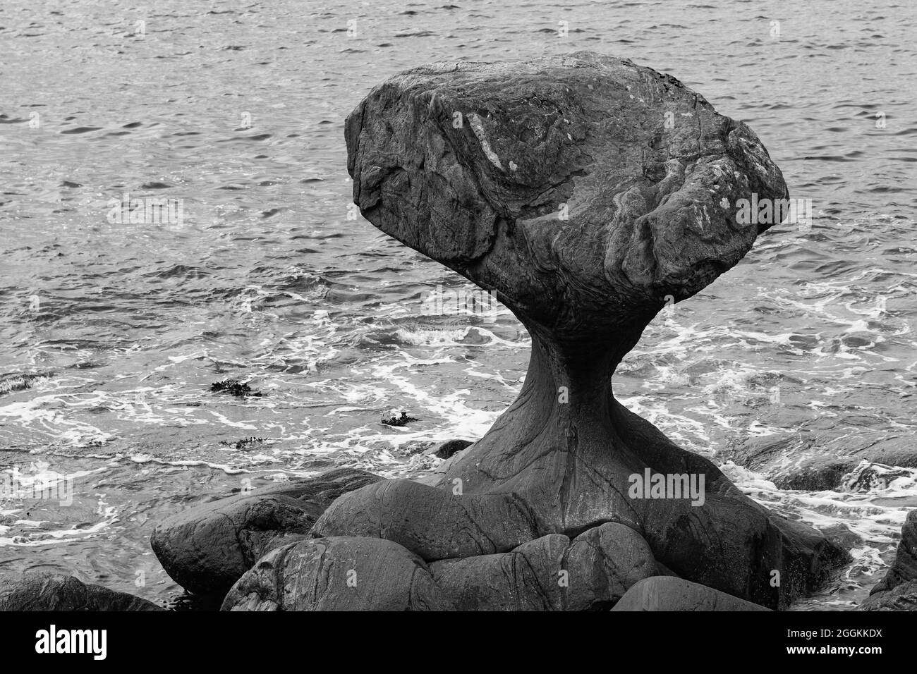 Mushroom shaped Kannesteinen rock at Oppedal shoreline, Vågsøy not far from Måløy, is a geological phenomenon and natural monument made by the sea Stock Photo