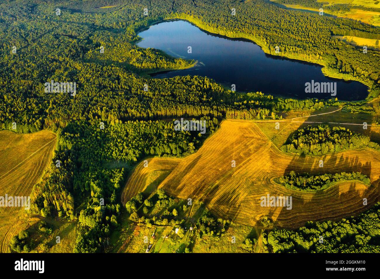 Brasla Top view of Bolta lake in the forest in the Braslav lakes National Park ...