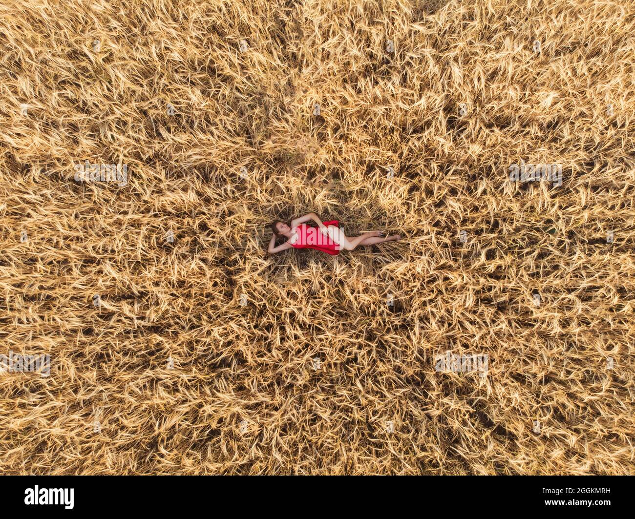 Aerial view of woman in red dress lying in the yellow field of wheat ...