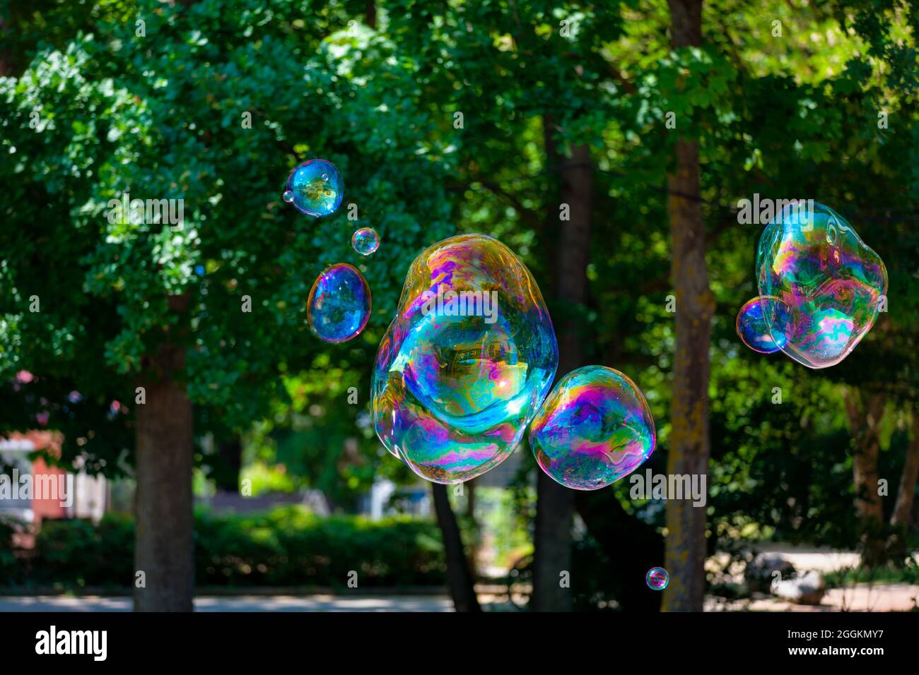 Iridescent soap bubbles float through the air, Mecklenburg-Western Pomerania, Germany Stock Photo