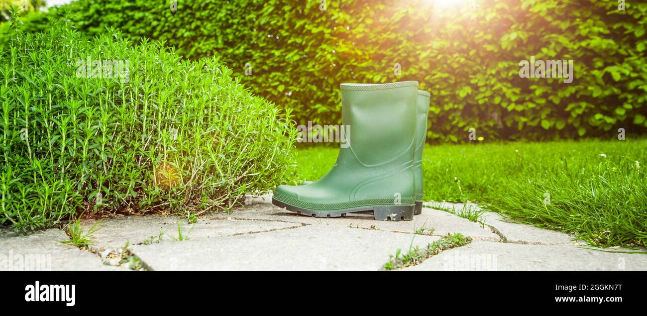 Wellington boots in the herb garden Stock Photo - Alamy