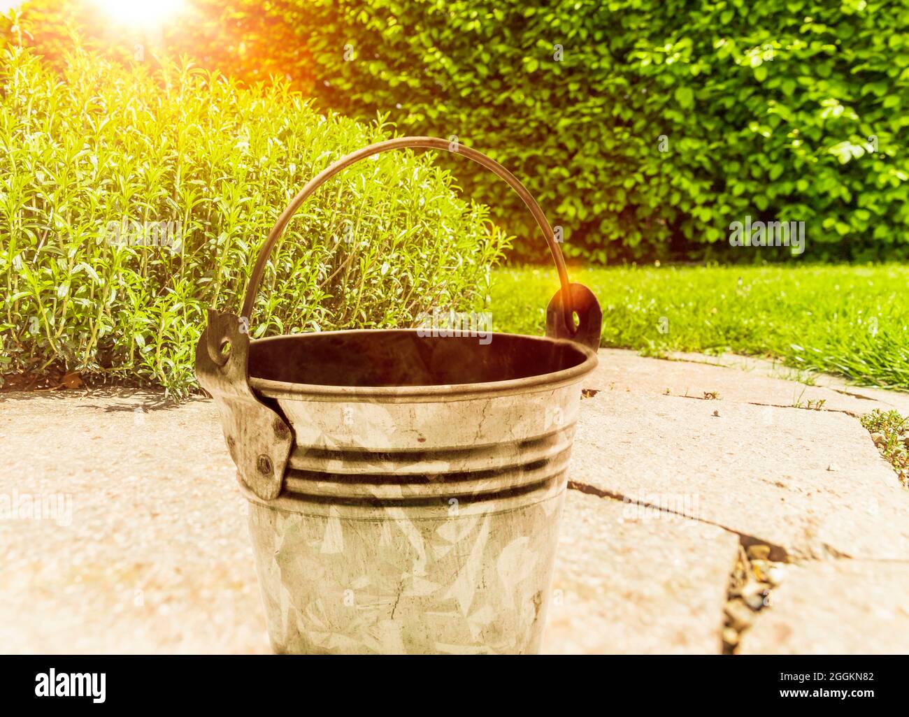 Metal bucket in the herb garden Stock Photo Alamy
