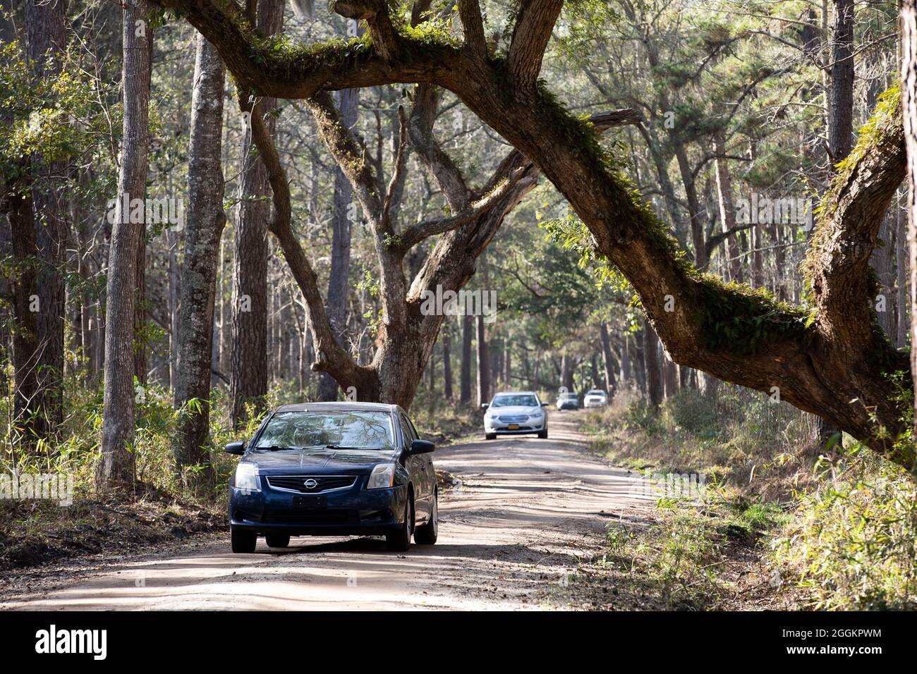 Botany Bay Plantation in Edisto Island, South Carolina Stock Photo Alamy