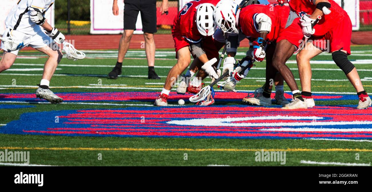 High school lacrosse players are fighting for possession of the ball trying to scoop it up during a game on a turf field. Stock Photo