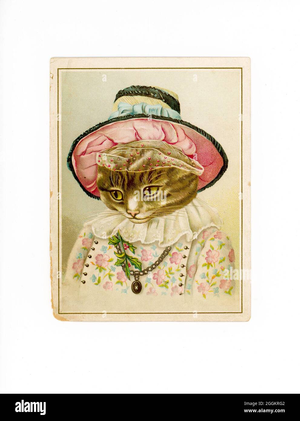 Vintage cat illustration hi-res stock photography and images - Alamy