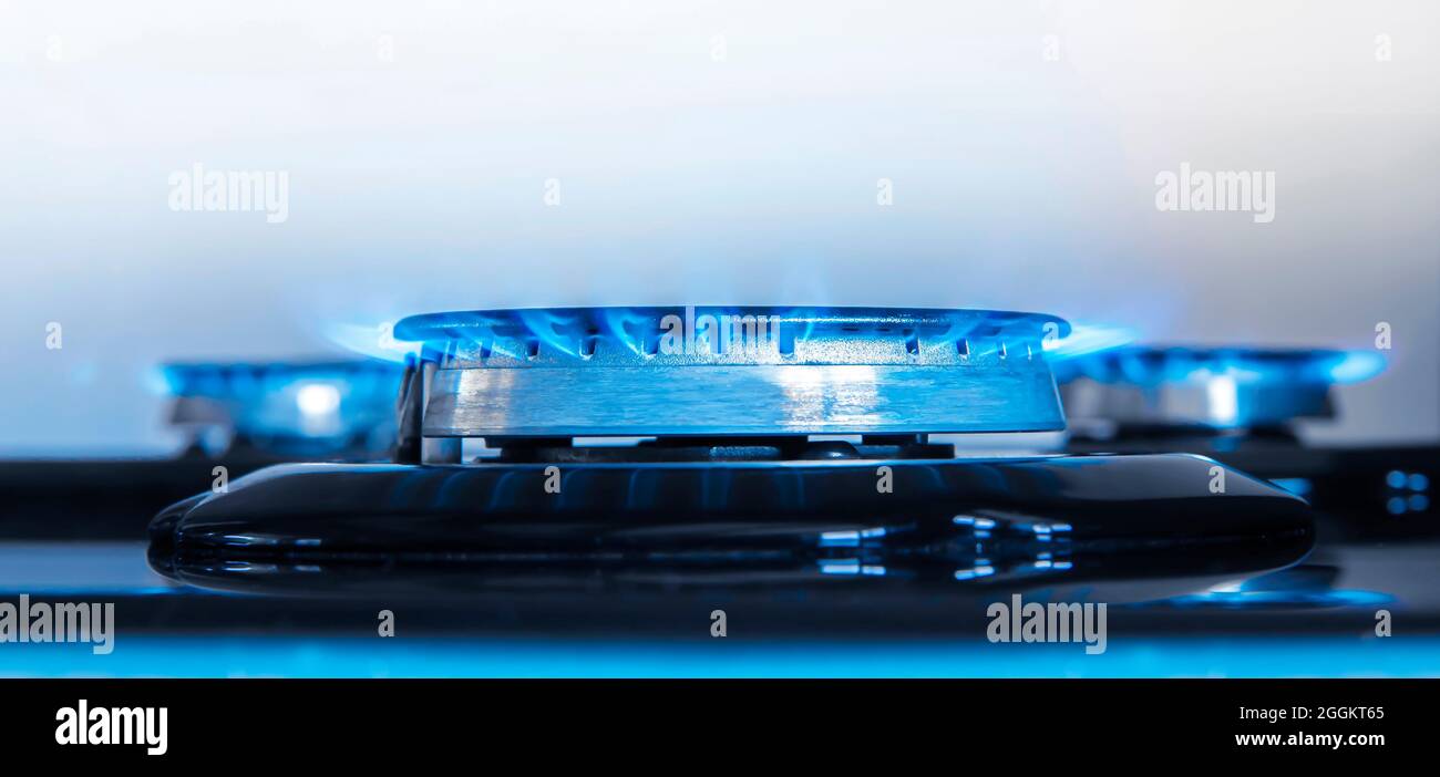 Yaadman LPG A Blue Gas Stove Flame Colour And Temperature, 44 OFF