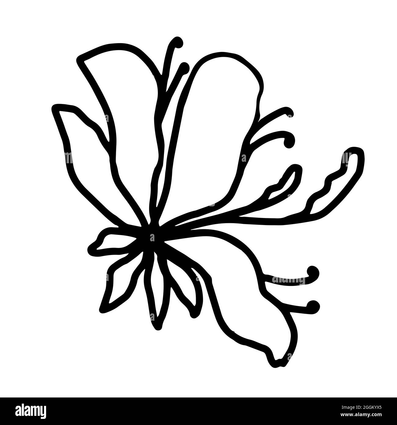 Flower vector one line art, minimalist contour hand drawing Stock ...