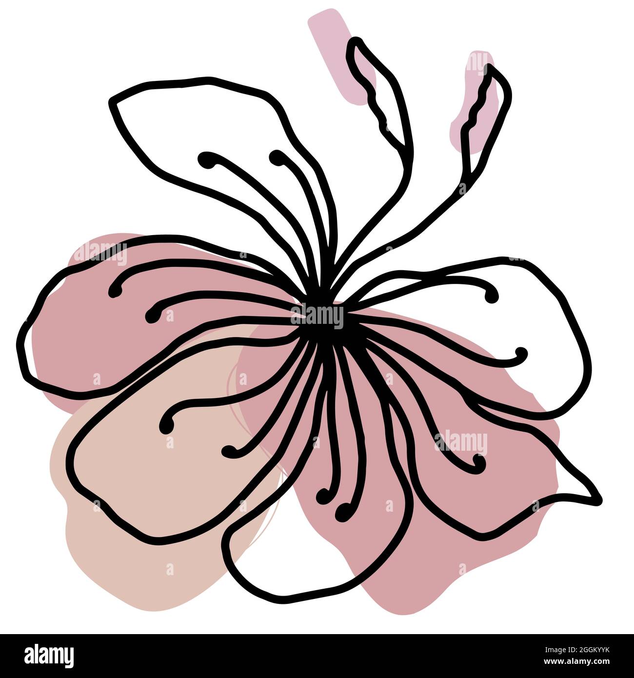 Flower vector one line art, minimalist contour hand drawing Stock ...