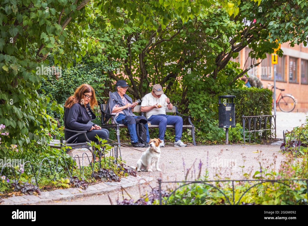 View of two men and woman with dog on benches in green city park. Stock Photo