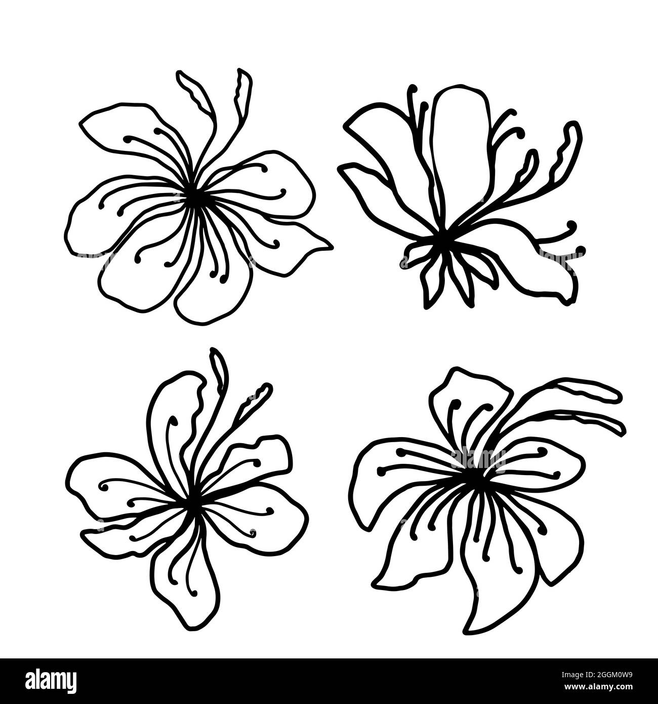 Flower vector one line art, minimalist contour hand drawing Stock ...