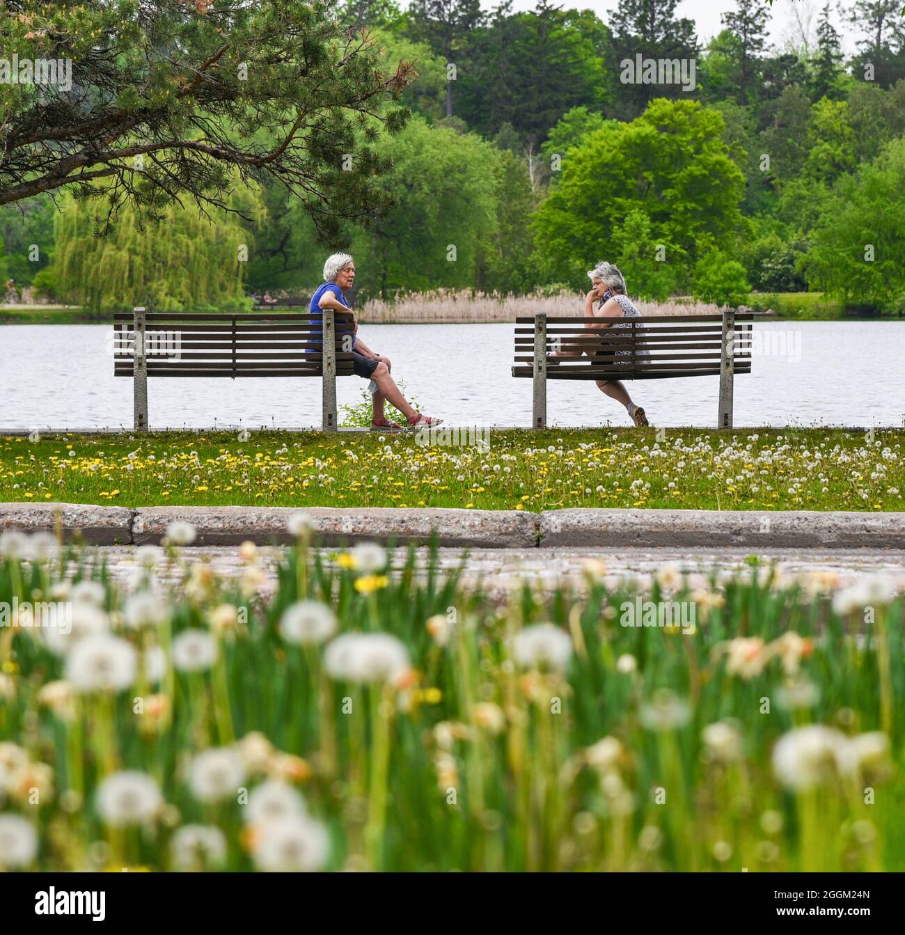 Chat spring hi-res stock photography and images - Alamy