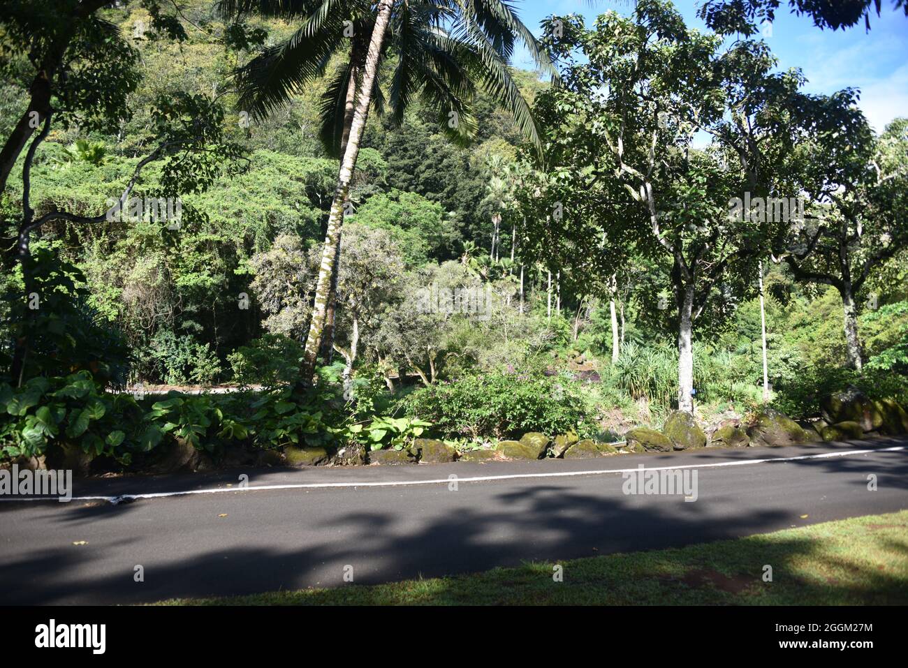 Oahu, HI U.S.A. 6/4&7/2021. Waimea Valley Visitors Center. Waimea