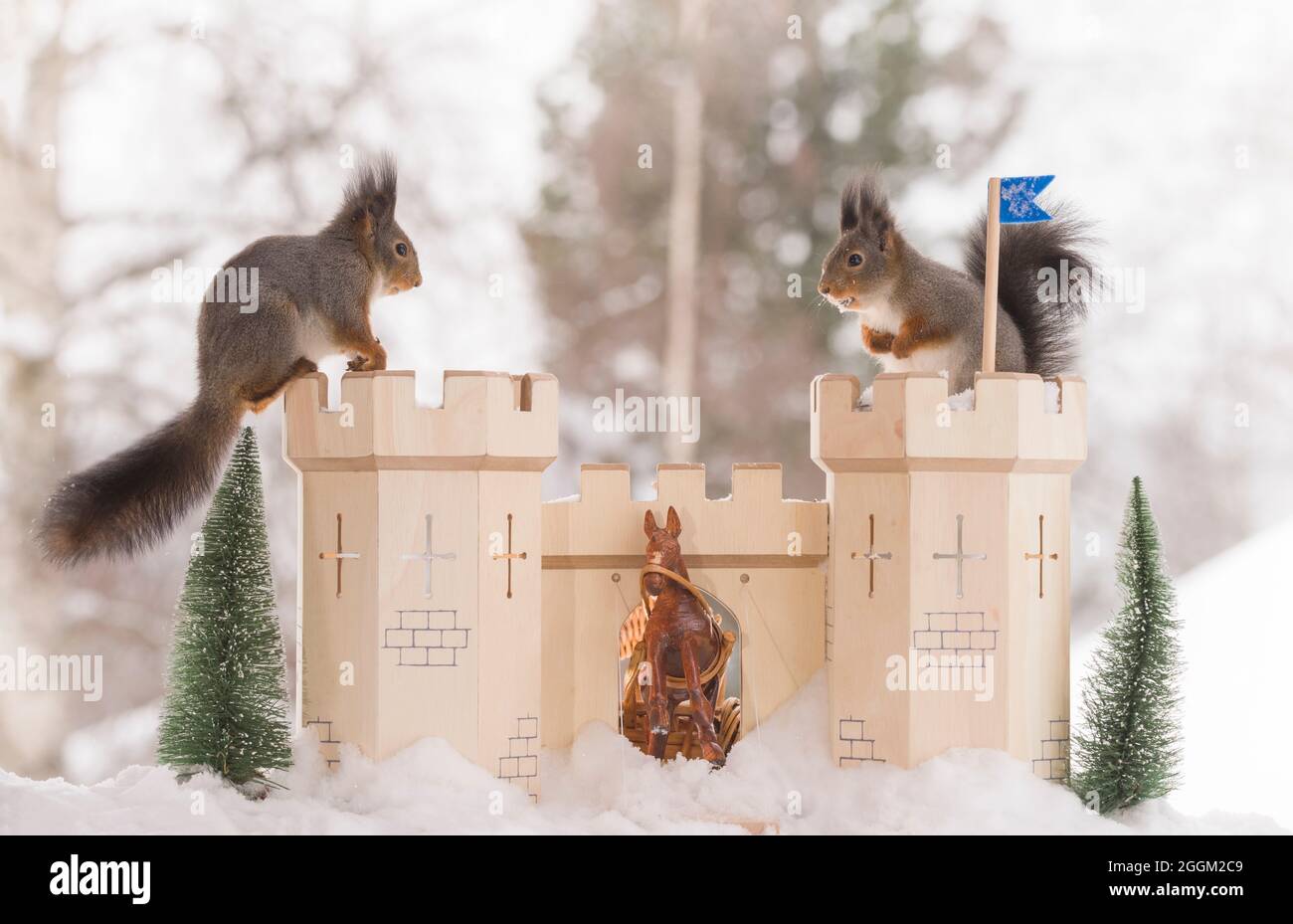 Squirrel castle hires stock photography and images Alamy