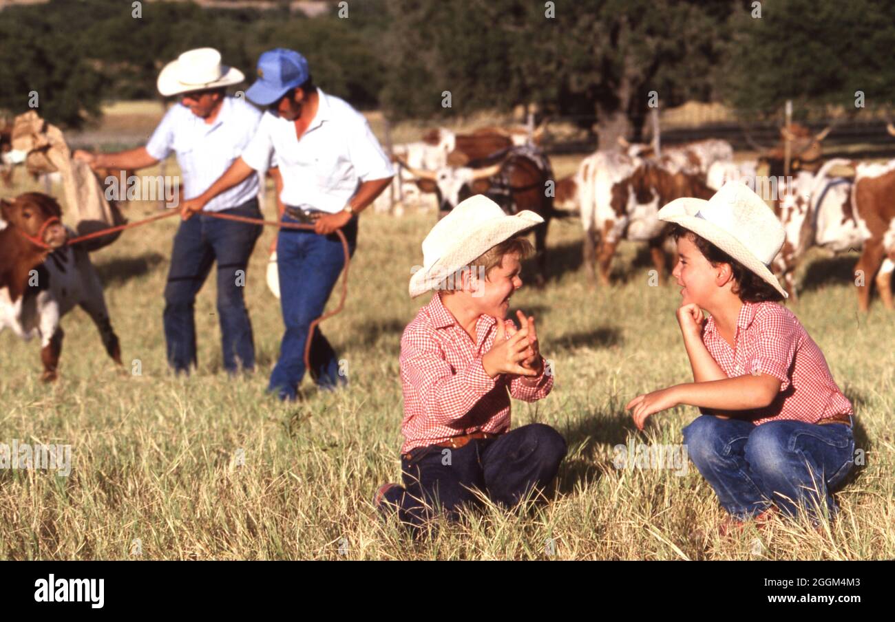 https://c8.alamy.com/comp/2GGM4M3/stonewall-texas-usa-1989-young-boys-wearing-cowboy-hats-sit-in-pasture-of-a-longhorn-cattle-ranch-in-the-texas-hill-country-mr-re-0264-65-bob-daemmrich-2GGM4M3.jpg