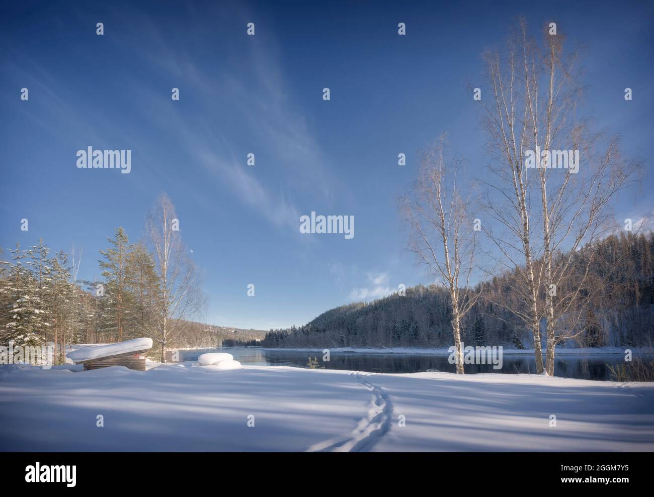 swedish winter landscape with moose tracks towards a river Stock Photo
