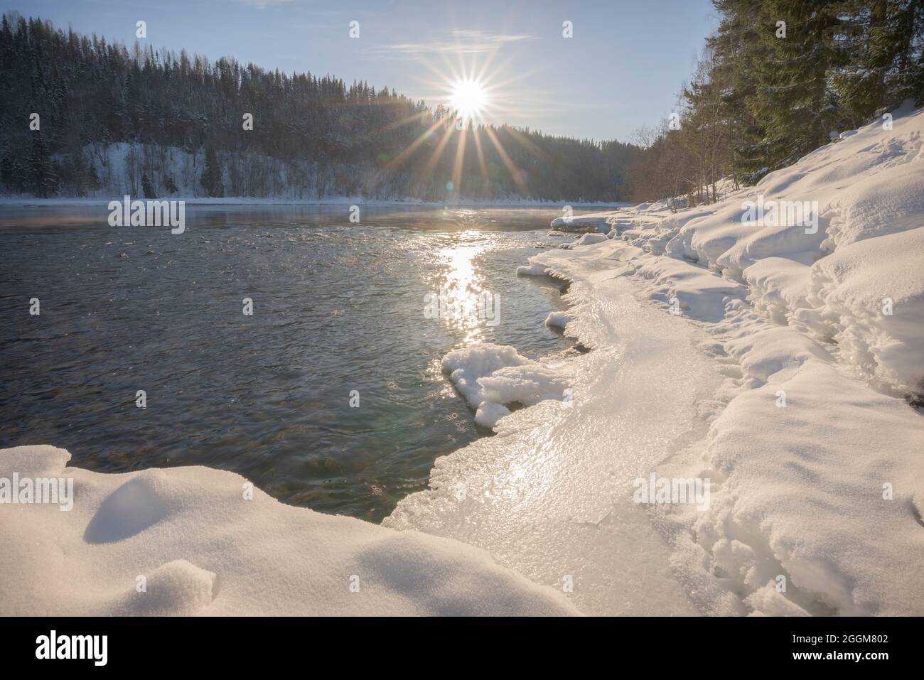 sun beams in swedish winter landscape with trees Stock Photo