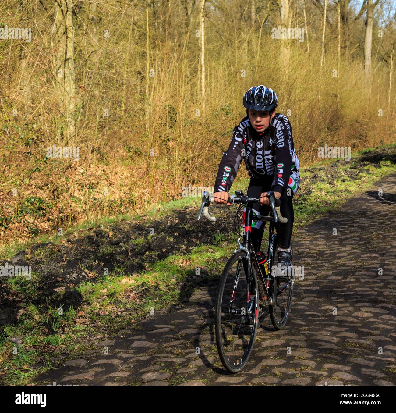 Forest of arenberg hi-res stock photography and images - Alamy